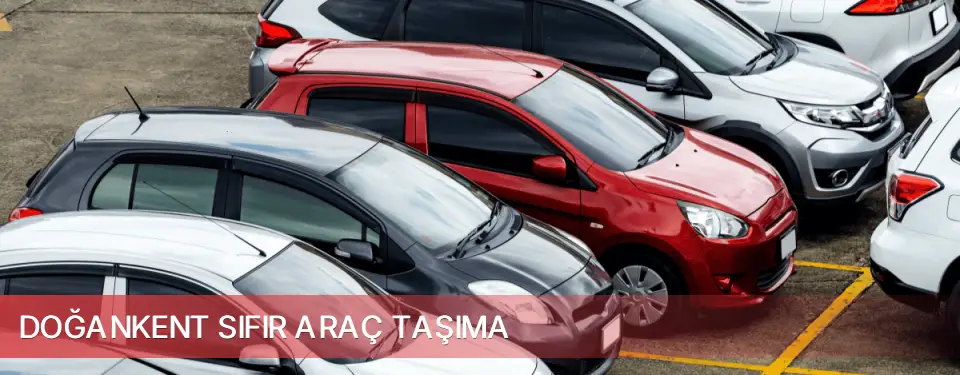 Doğankent İlçemi Sıfır Araç Taşıma